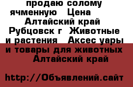 продаю солому ячменную › Цена ­ 350 - Алтайский край, Рубцовск г. Животные и растения » Аксесcуары и товары для животных   . Алтайский край